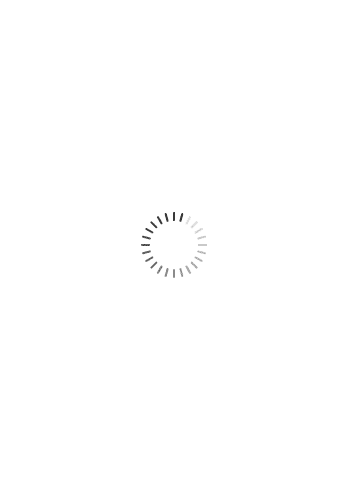 71gm8v4uPBL._SX522_
